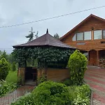 карпатська модрина Villa Kosiv