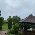 карпатська модрина Villa Kosiv