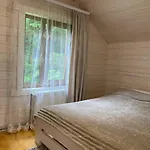 карпатська модрина * Kosiv