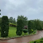 карпатська модрина Kosiv
