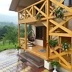 карпатська модрина * Kosiv