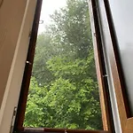 карпатська модрина * Kosiv