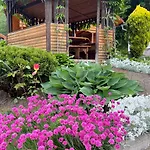 карпатська модрина Villa *