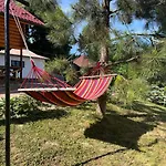 Villa карпатська модрина *