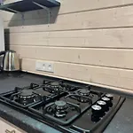 карпатська модрина Villa