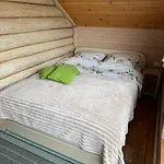карпатська модрина *