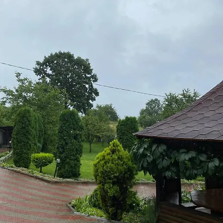 карпатська модрина Villa Kosiv