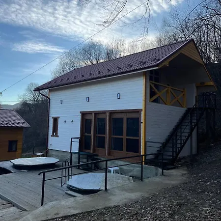 карпатська модрина