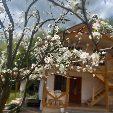 карпатська модрина Villa Kosiv