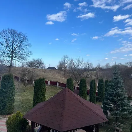 карпатська модрина Villa Kosiv