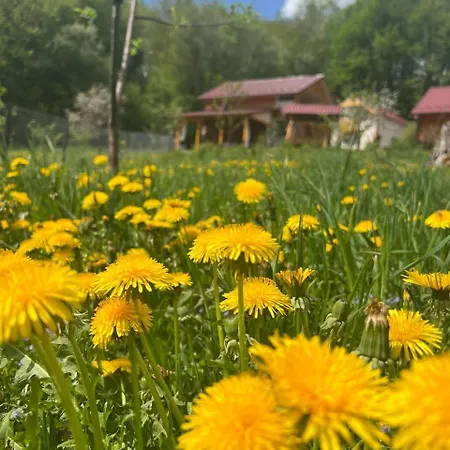 карпатська модрина Villa *