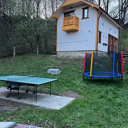 карпатська модрина Villa Kosiv