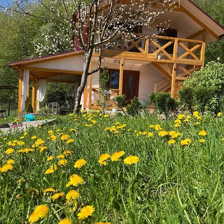Villa карпатська модрина *