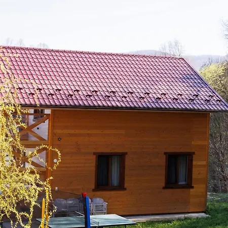 карпатська модрина Kosiv