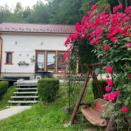 Villa карпатська модрина