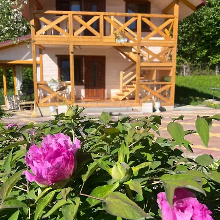 Villa карпатська модрина *